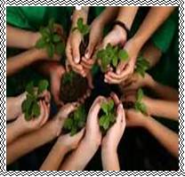 ��������: http://library.brstu.ru/static/exhibitions/eco_130513.files/image012.jpg